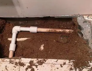 镇赉测漏水哪家好