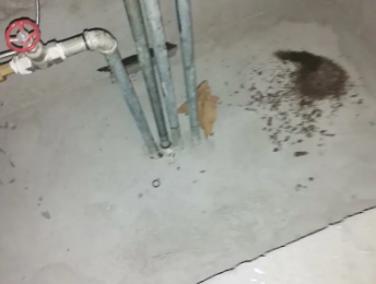 镇赉卫生间测漏水价格明细